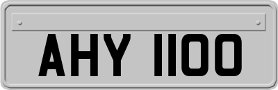 AHY1100