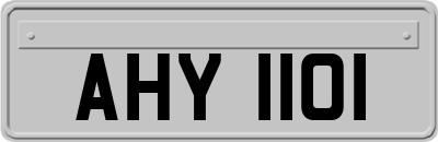 AHY1101