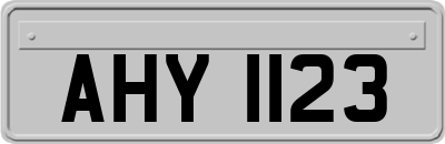 AHY1123