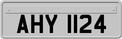 AHY1124