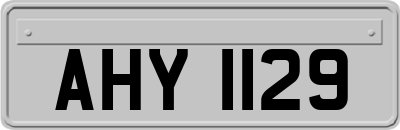 AHY1129