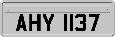 AHY1137