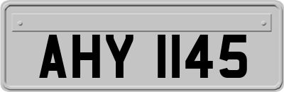 AHY1145
