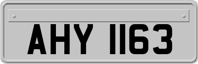 AHY1163