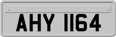 AHY1164