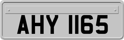 AHY1165