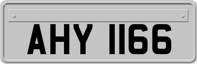 AHY1166
