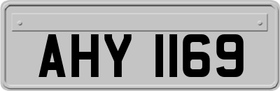 AHY1169