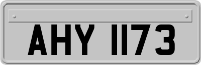 AHY1173