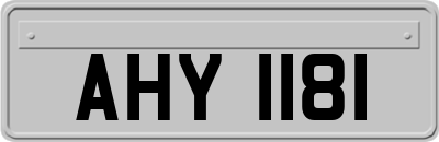 AHY1181