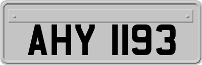 AHY1193