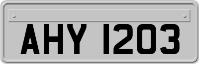AHY1203