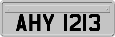AHY1213