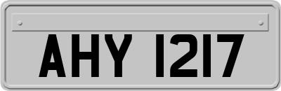 AHY1217
