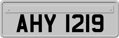 AHY1219