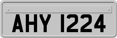 AHY1224