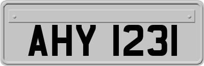 AHY1231