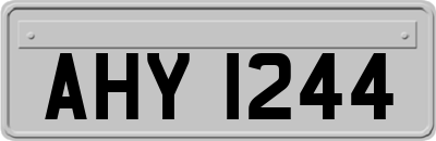 AHY1244