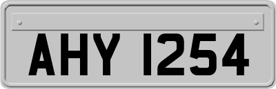 AHY1254