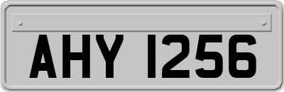 AHY1256