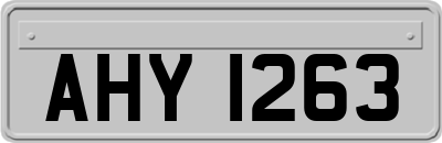 AHY1263