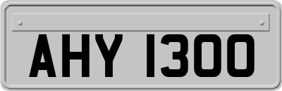 AHY1300