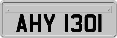 AHY1301