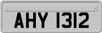 AHY1312