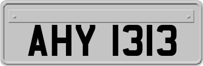 AHY1313