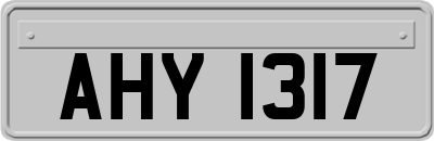 AHY1317