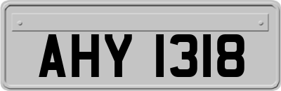AHY1318