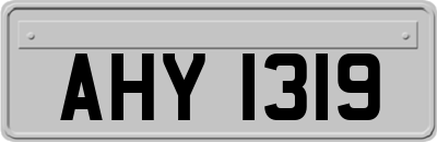 AHY1319