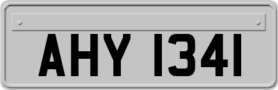 AHY1341