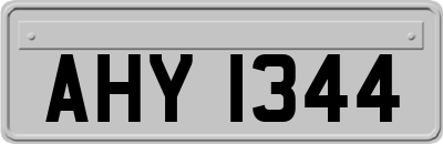 AHY1344