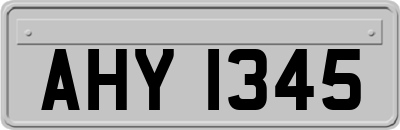 AHY1345