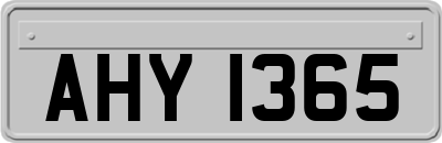 AHY1365