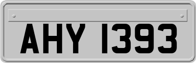 AHY1393