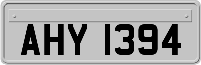 AHY1394