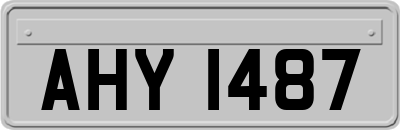 AHY1487
