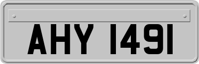 AHY1491