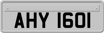 AHY1601
