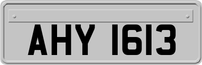 AHY1613