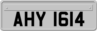 AHY1614