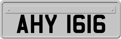 AHY1616