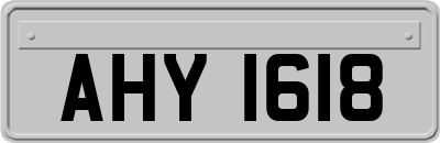 AHY1618