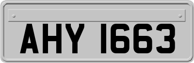 AHY1663