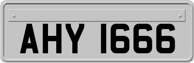 AHY1666
