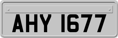 AHY1677