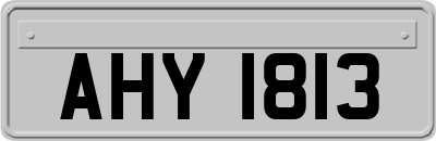 AHY1813