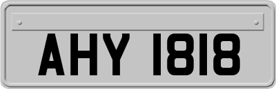AHY1818